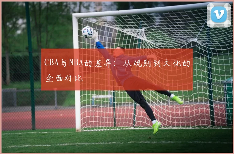 CBA与NBA的差异：从规则到文化的全面对比